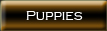 Puppies